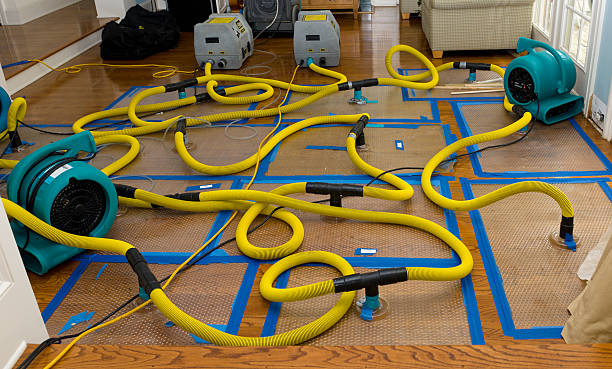 Professional Water Extraction technician working in Layton, NJ